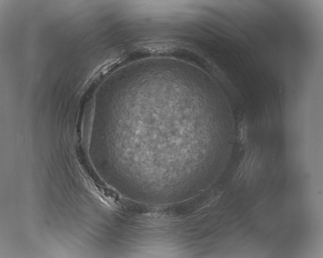 X0000078010733200610271207