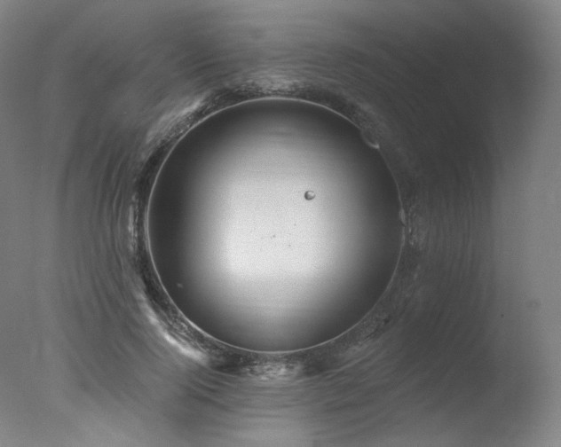 X0000078010740200610271207