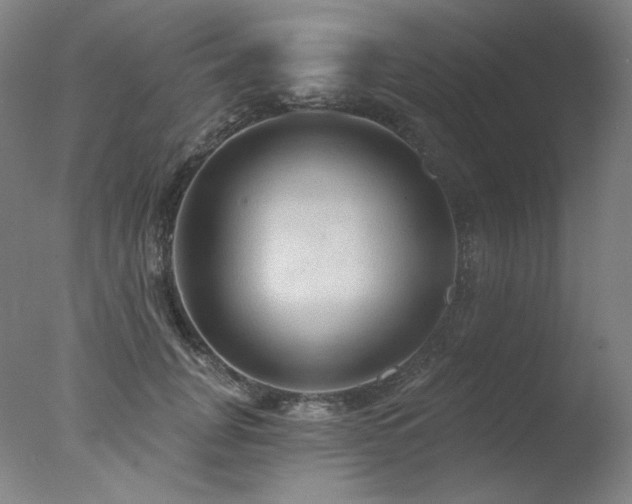 X0000078010751200610271207