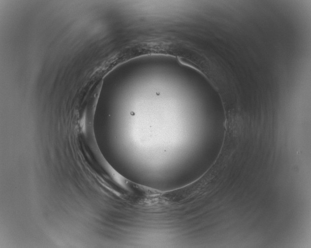 X0000078010752200610271207
