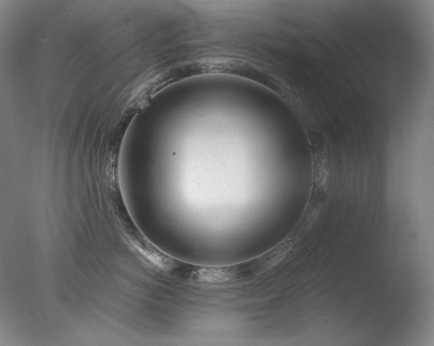 X0000078010766200610271208