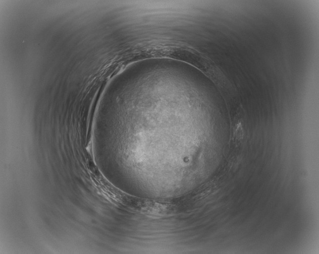 X0000078010772200610271207