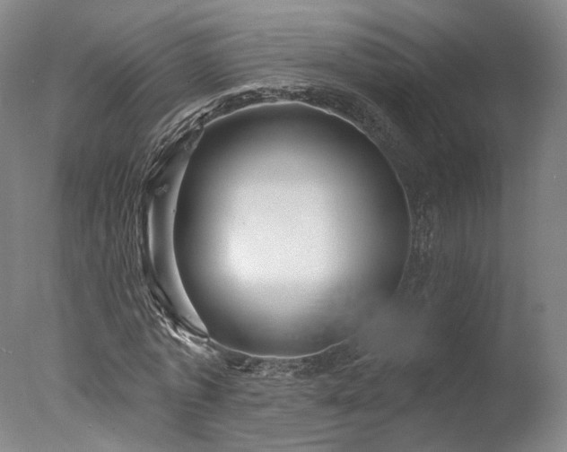 X0000078010773200610271207