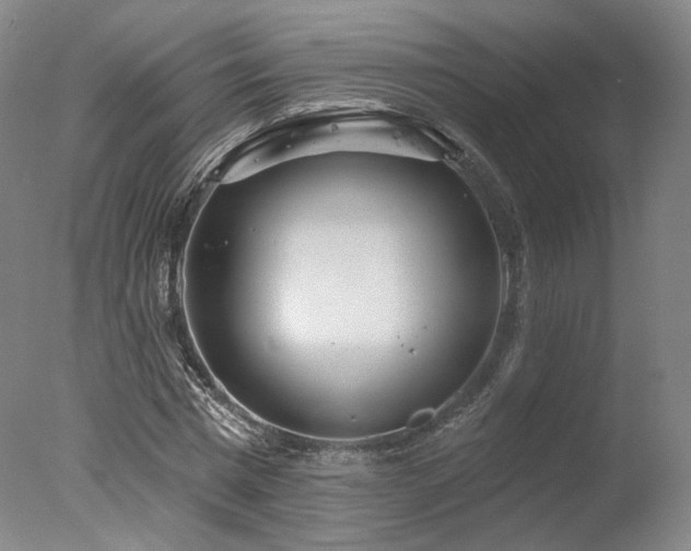 X0000078010777200610271207