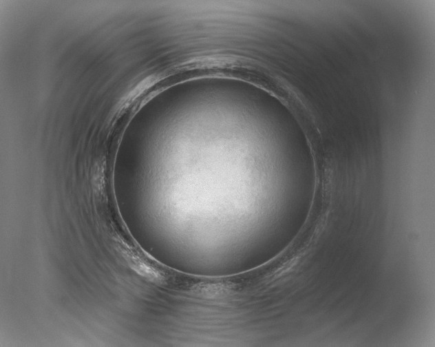 X0000078010778200610271207