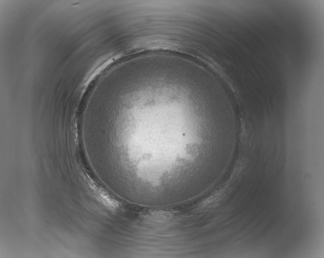 X0000078010782200610271207