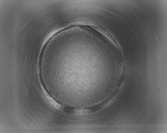 X0000078010795200610271206