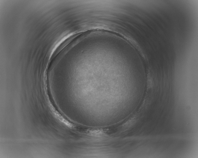 X0000078010798200610271206
