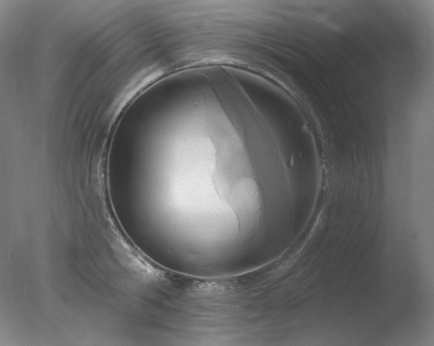 X0000078010806200610271206