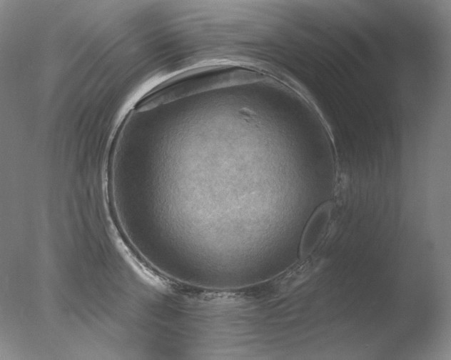 X0000078010811200610271206