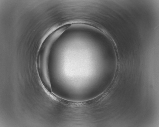 X0000078010813200610271206