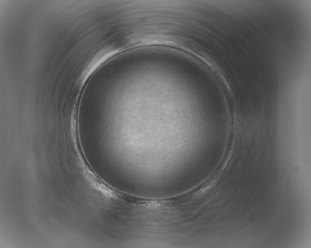 X0000078010814200610271206