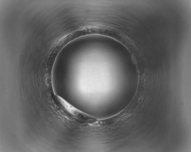 X0000078010822200610271205