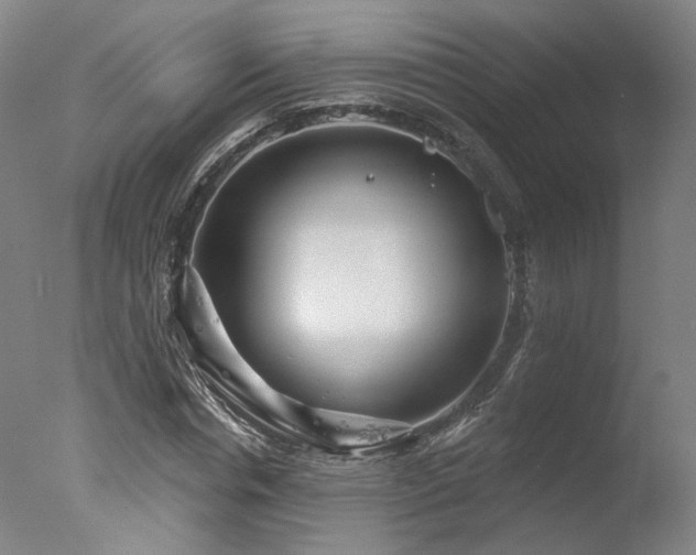 X0000078010826200610271205