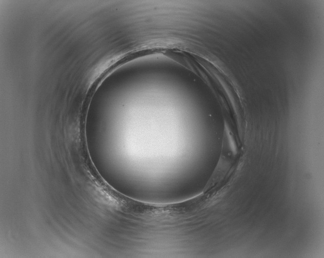 X0000078010834200610271205