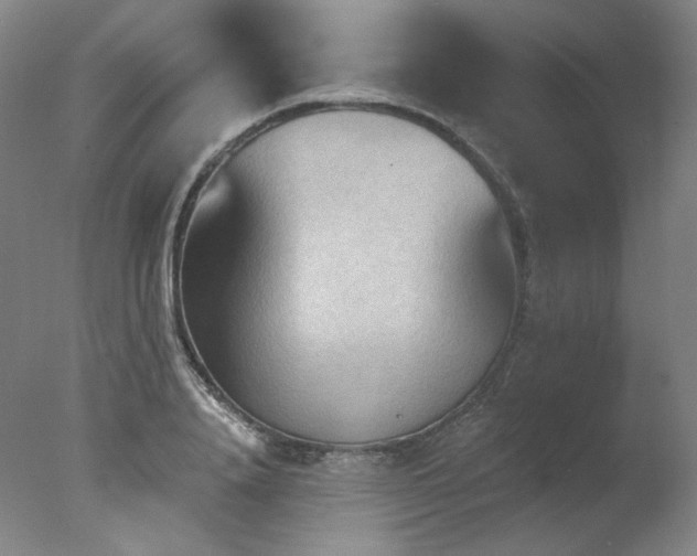 X0000078010840200610271206