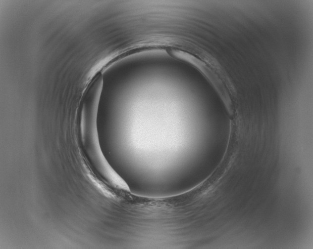 X0000078010842200610271206