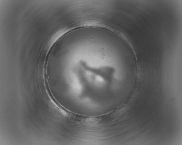 X0000078010847200610271206