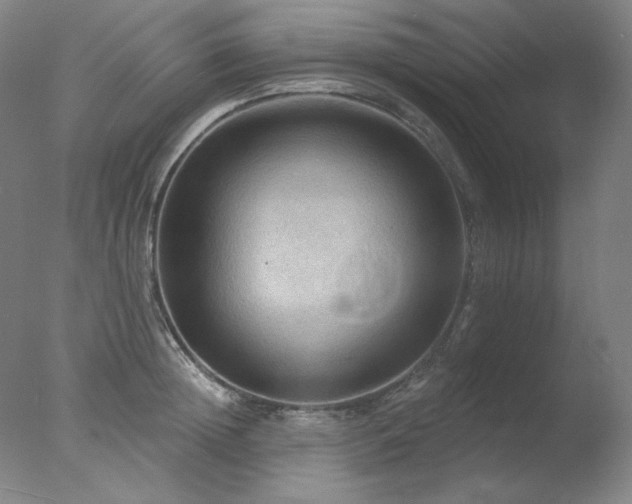 X0000078010852200610271206