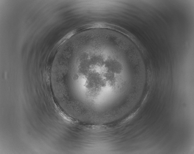 X0000078010857200610271206