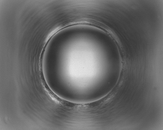 X0000078010858200610271206