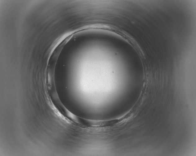 X0000078010860200610271206
