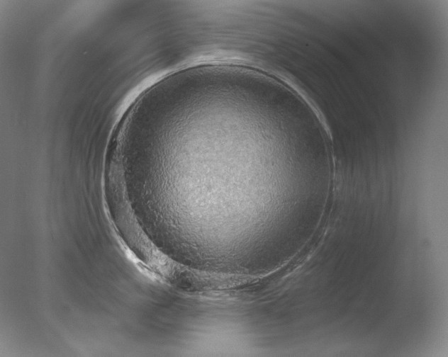 X0000078010861200610271206