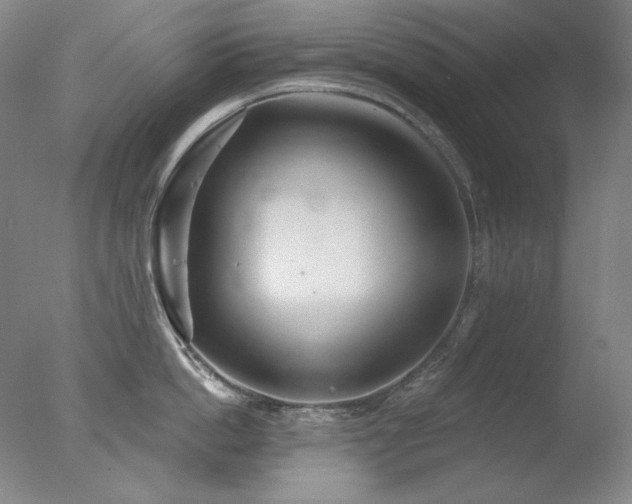 X0000078010862200610271206