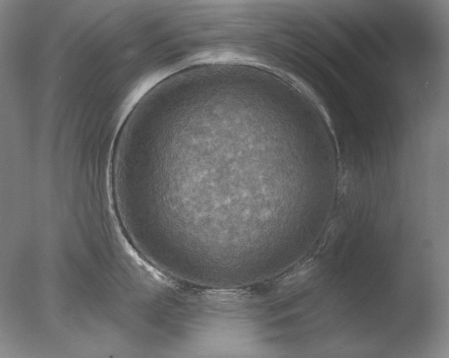 X0000078010863200610271206