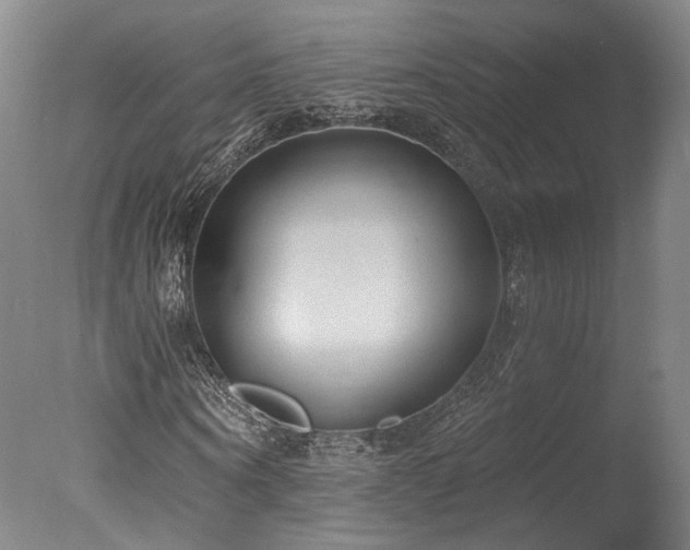 X0000078010866200610271205