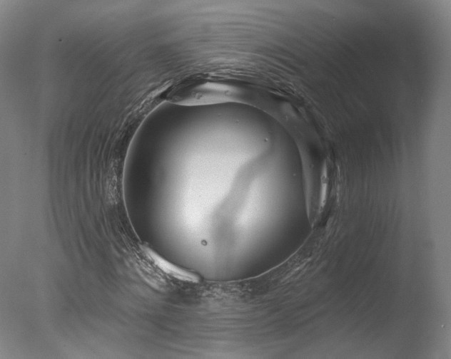 X0000078010868200610271205