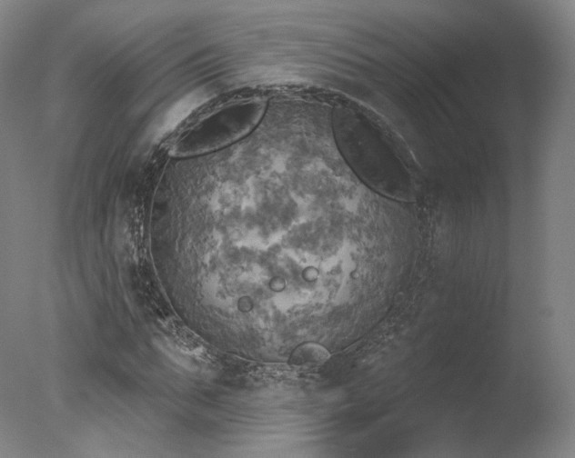 X0000078010871200610271205