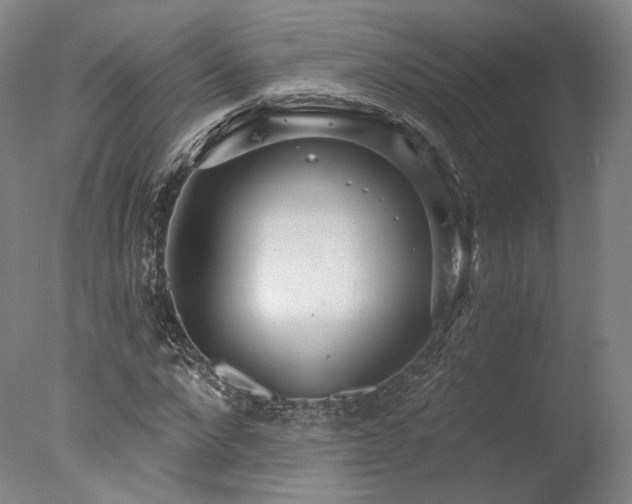 X0000078010872200610271205