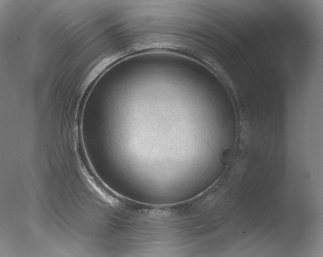 X0000078010890200610271205
