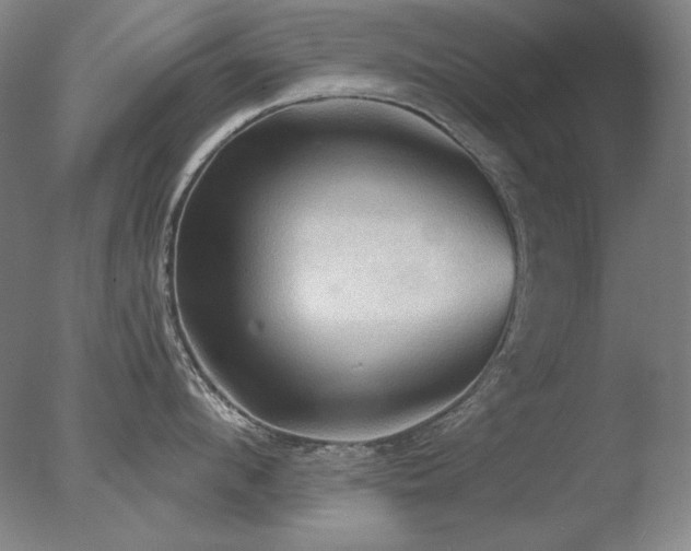 X0000078010912200610271204