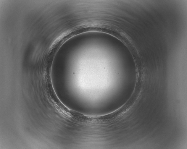 X0000078010922200610271204
