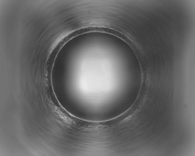 X0000078010926200610271204