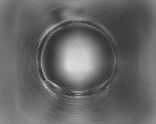X0000078010935200610271204