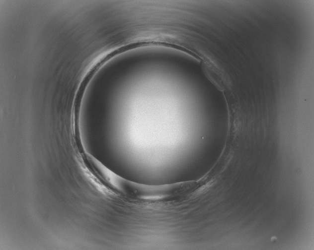 X0000078010940200610271204