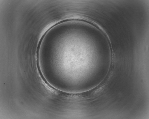 X0000078010951200610271204