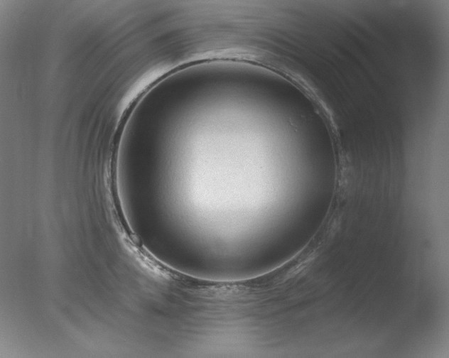 X0000078010952200610271204