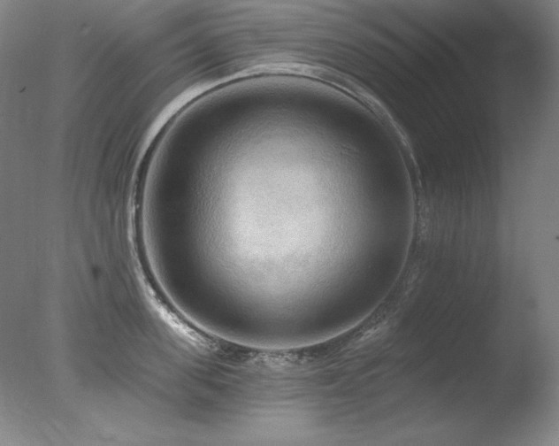 X0000078010955200610271204