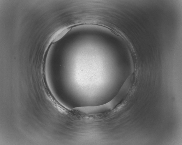 X0000078010956200610271204