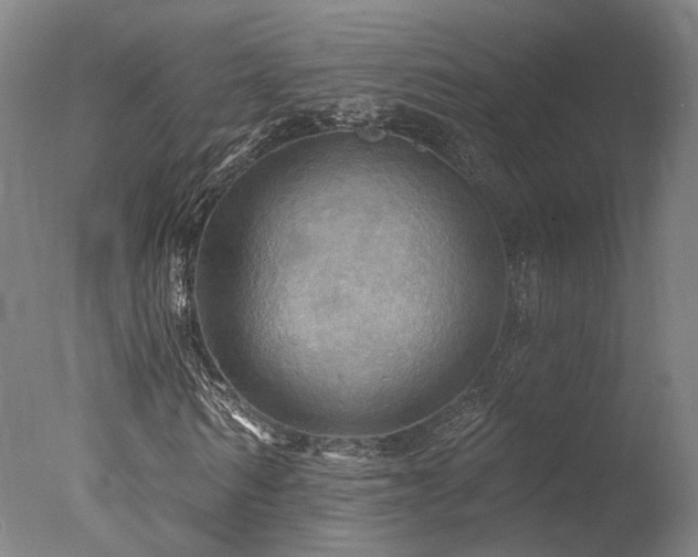 X0000078010962200610271203
