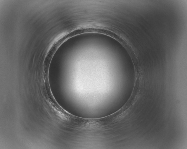 X0000078010974200610271203