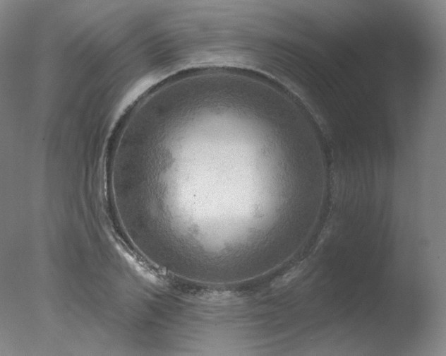 X0000078010982200610271203