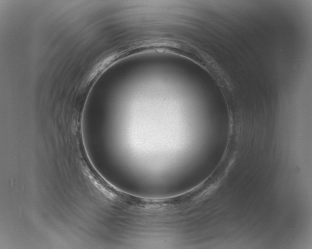 X0000078010985200610271203
