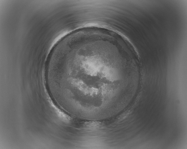 X0000078010991200610271203