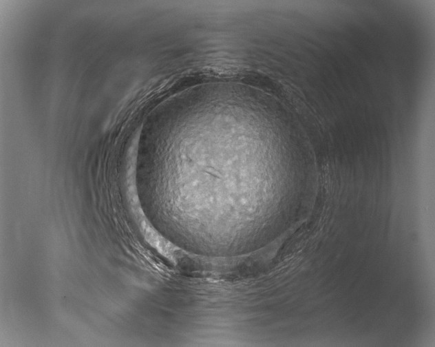 X0000078011009200610271202