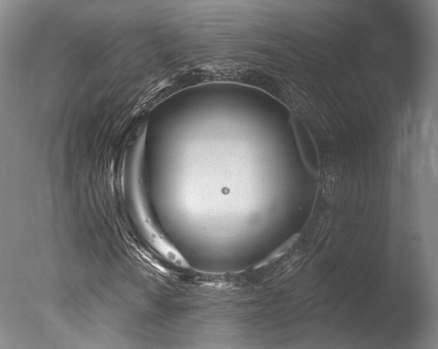 X0000078011010200610271202